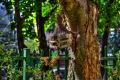 ogrod_06